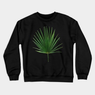 Simple Palm Leaf Geometry Crewneck Sweatshirt